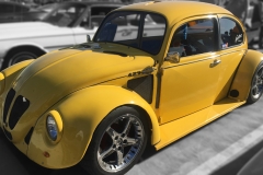 beetle-v8