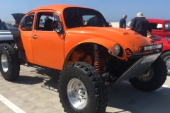 bug-orange