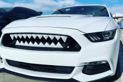 mustang